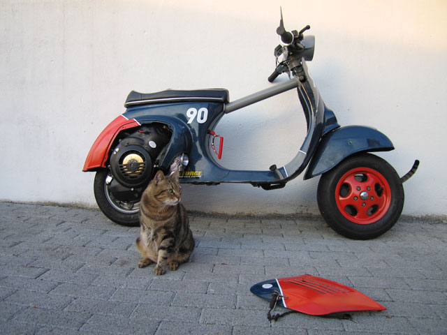 mitkatze.jpg